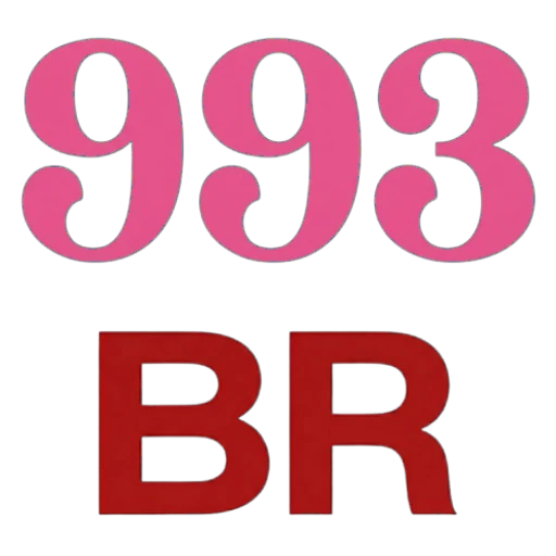 993BR.com Oficial Slots Brasil #1 Logo